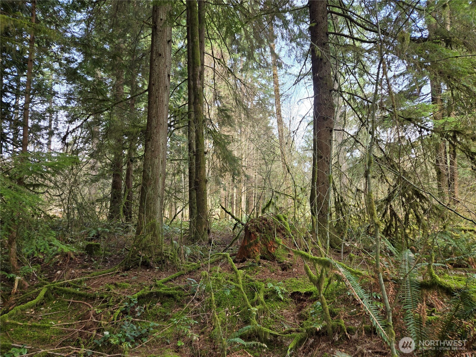 197 xx 242nd Avenue NE, Woodinville, WA 98077