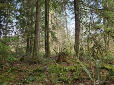197 xx 242nd Avenue NE, Woodinville, WA 98077 - Photo 18