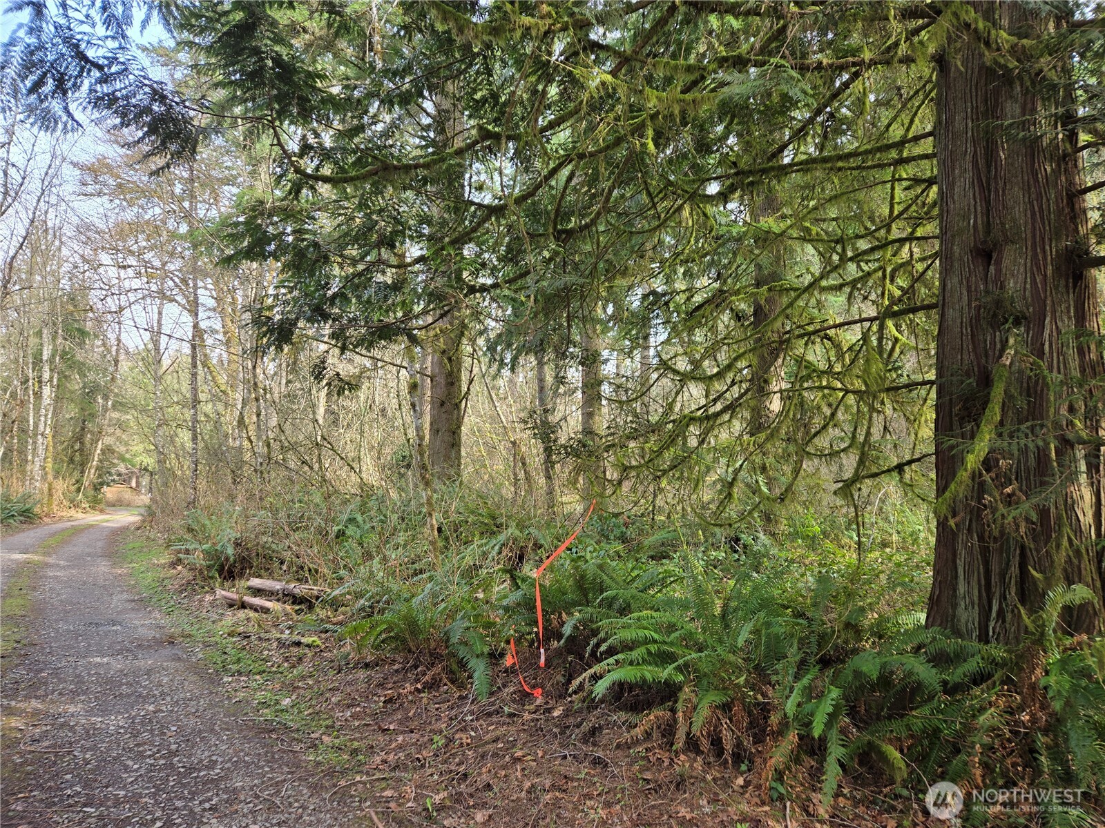 197 xx 242nd Avenue NE, Woodinville, WA 98077