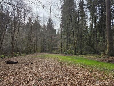 197 xx 242nd Avenue NE, Woodinville, WA 98077 - Photo 3