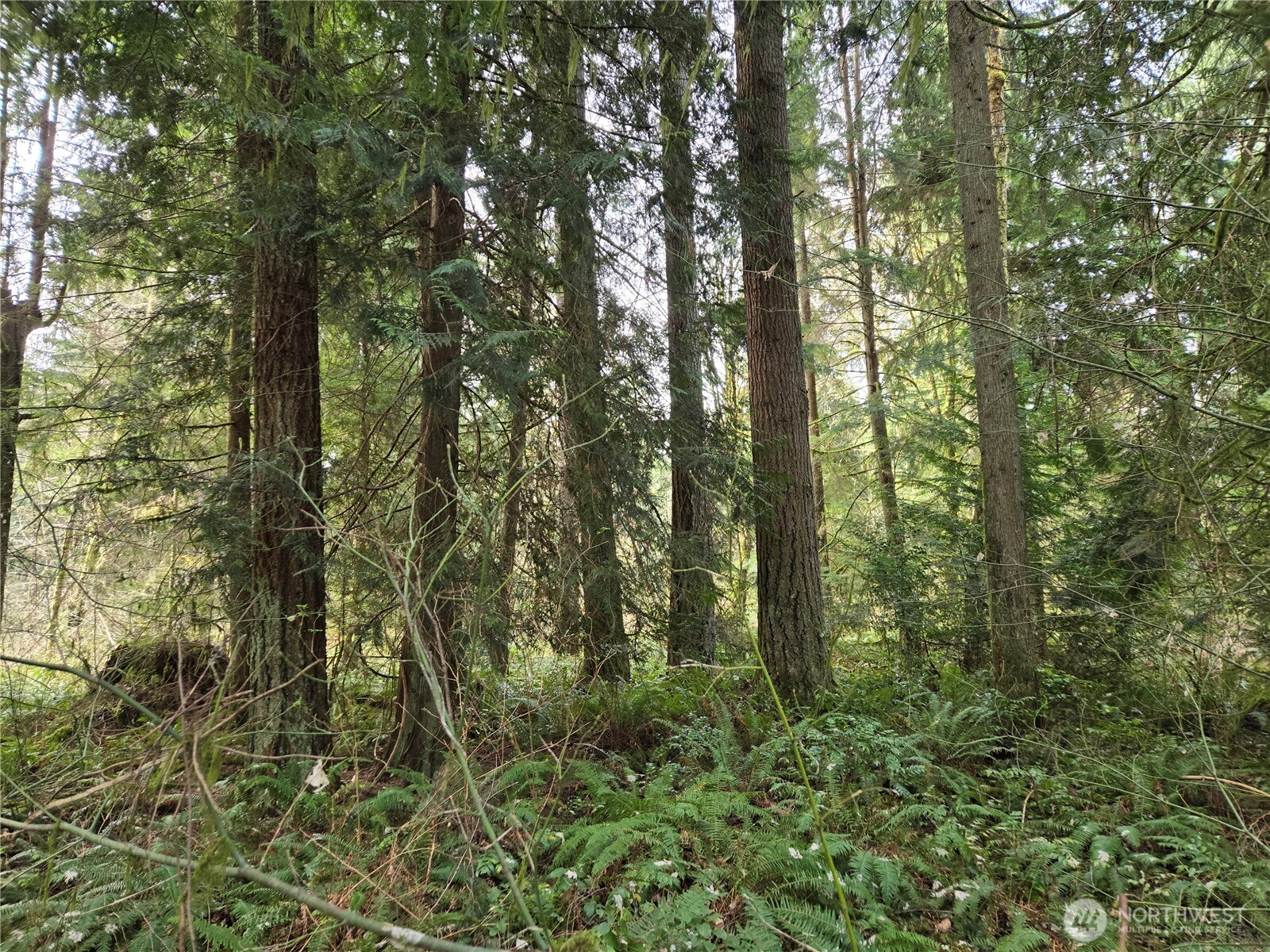 197 xx 242nd Avenue NE, Woodinville, WA 98077