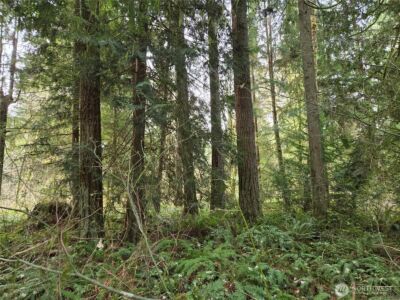 197 xx 242nd Avenue NE, Woodinville, WA 98077 - Photo 21