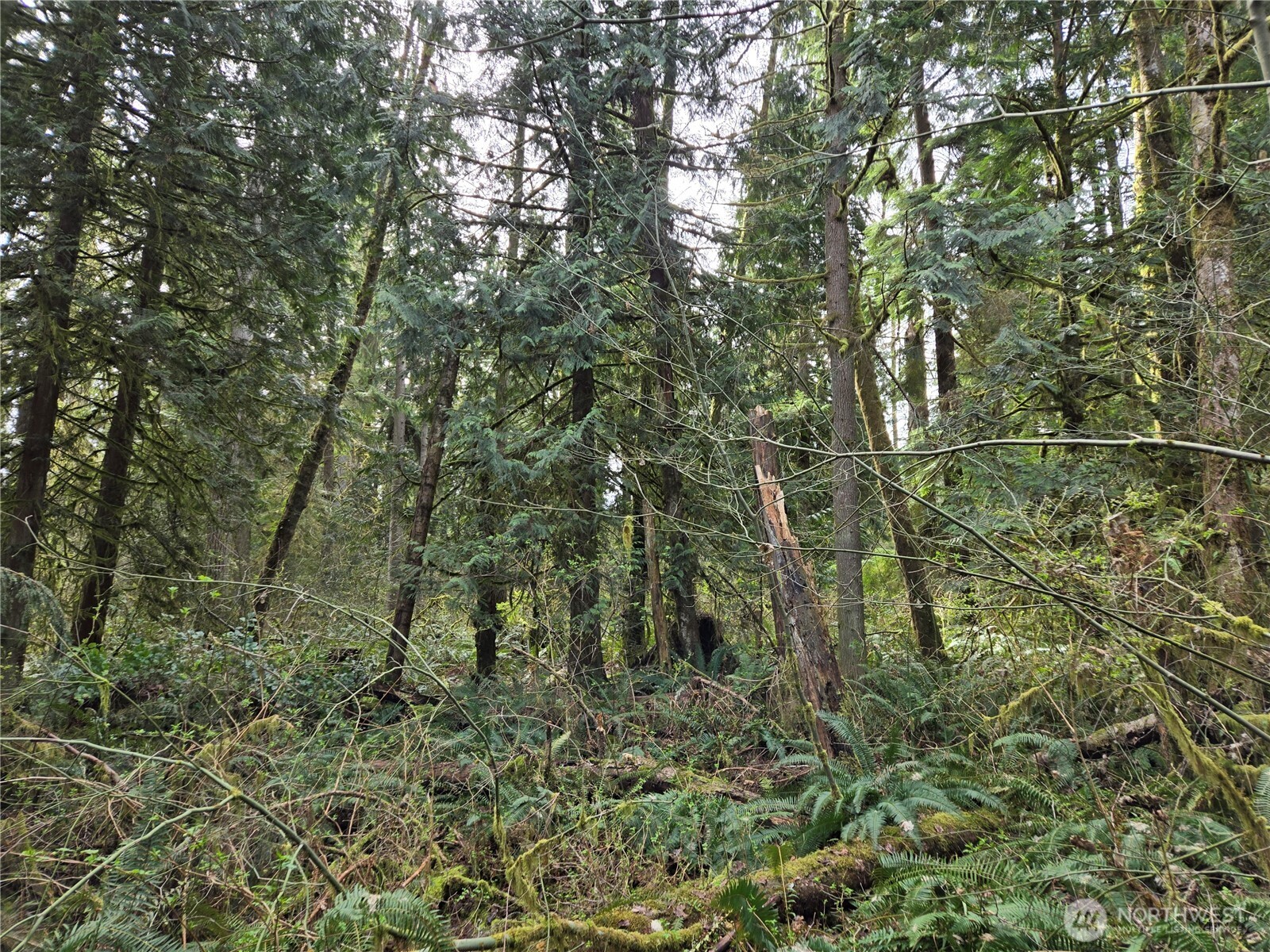 197 xx 242nd Avenue NE, Woodinville, WA 98077