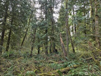 197 xx 242nd Avenue NE, Woodinville, WA 98077 - Photo 22