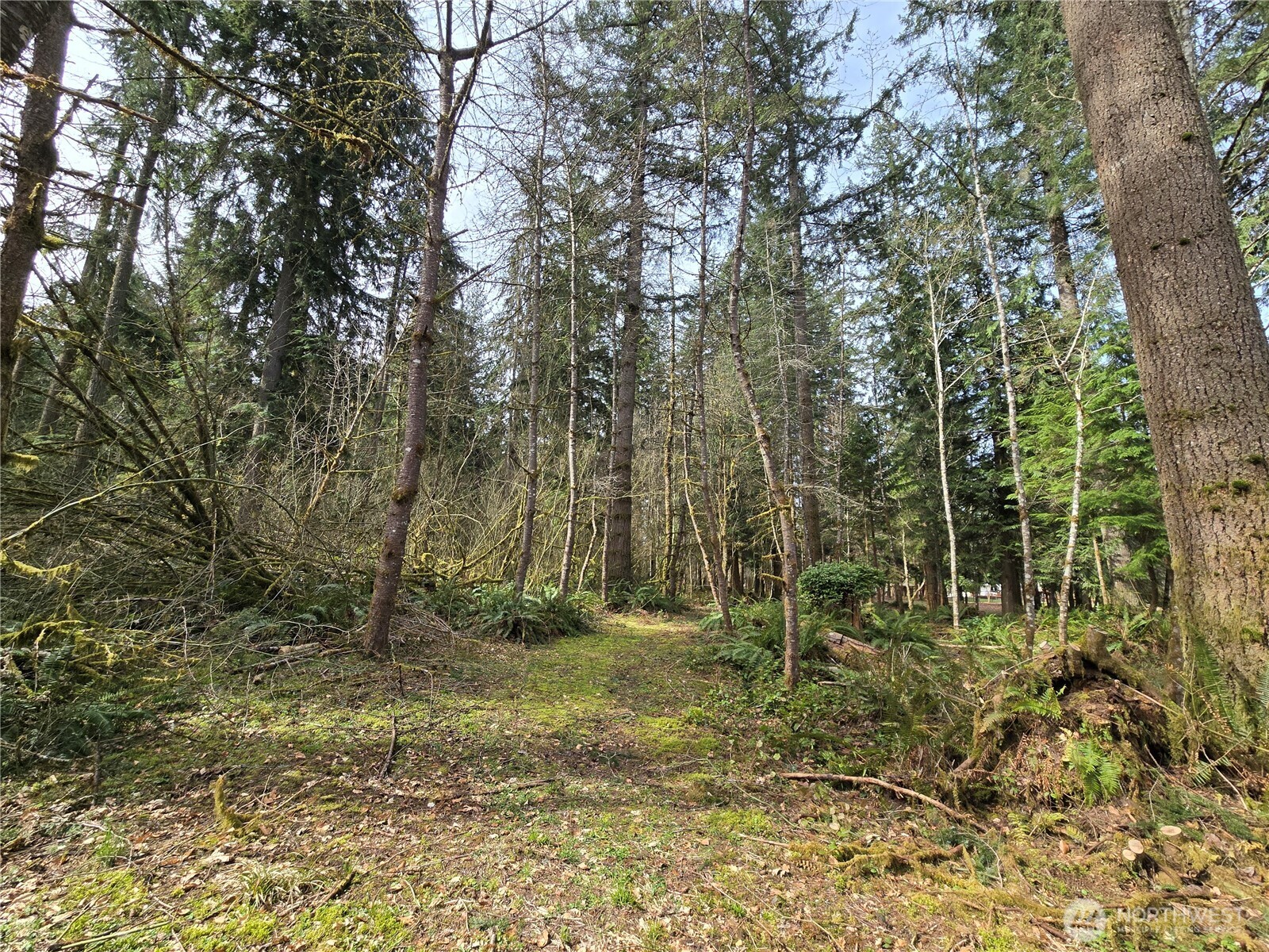 197 xx 242nd Avenue NE, Woodinville, WA 98077