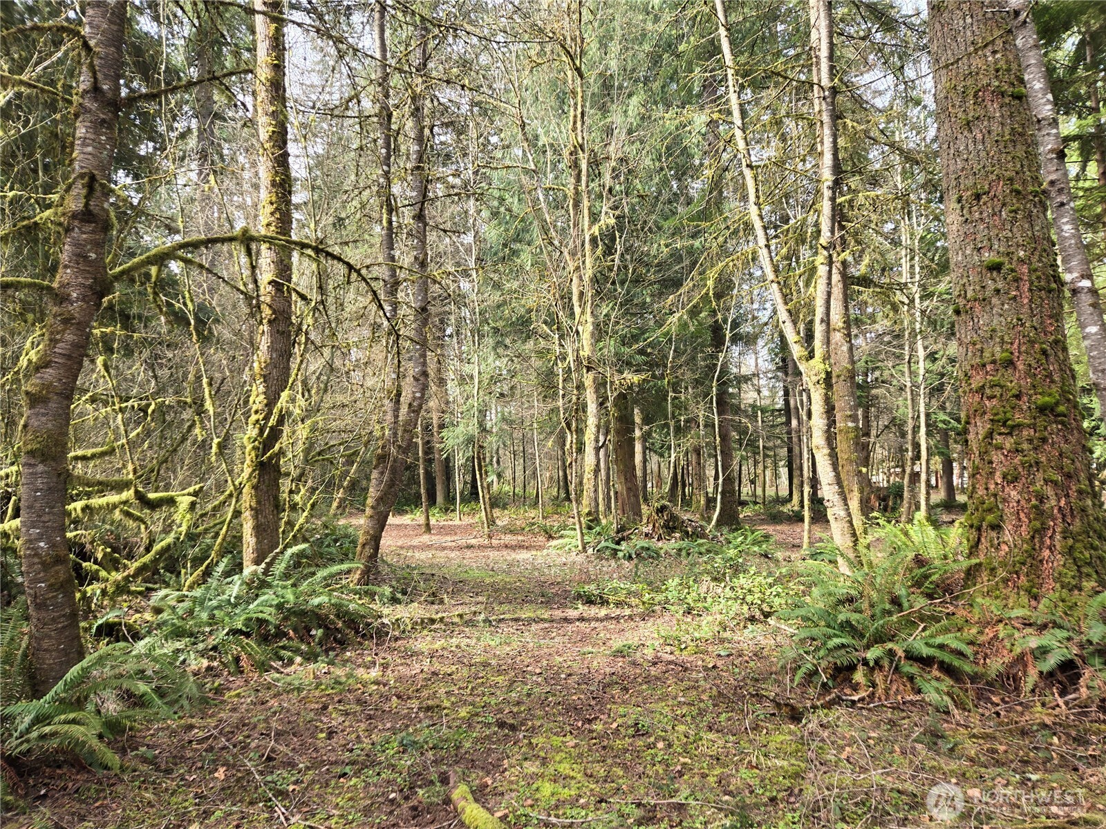 197 xx 242nd Avenue NE, Woodinville, WA 98077