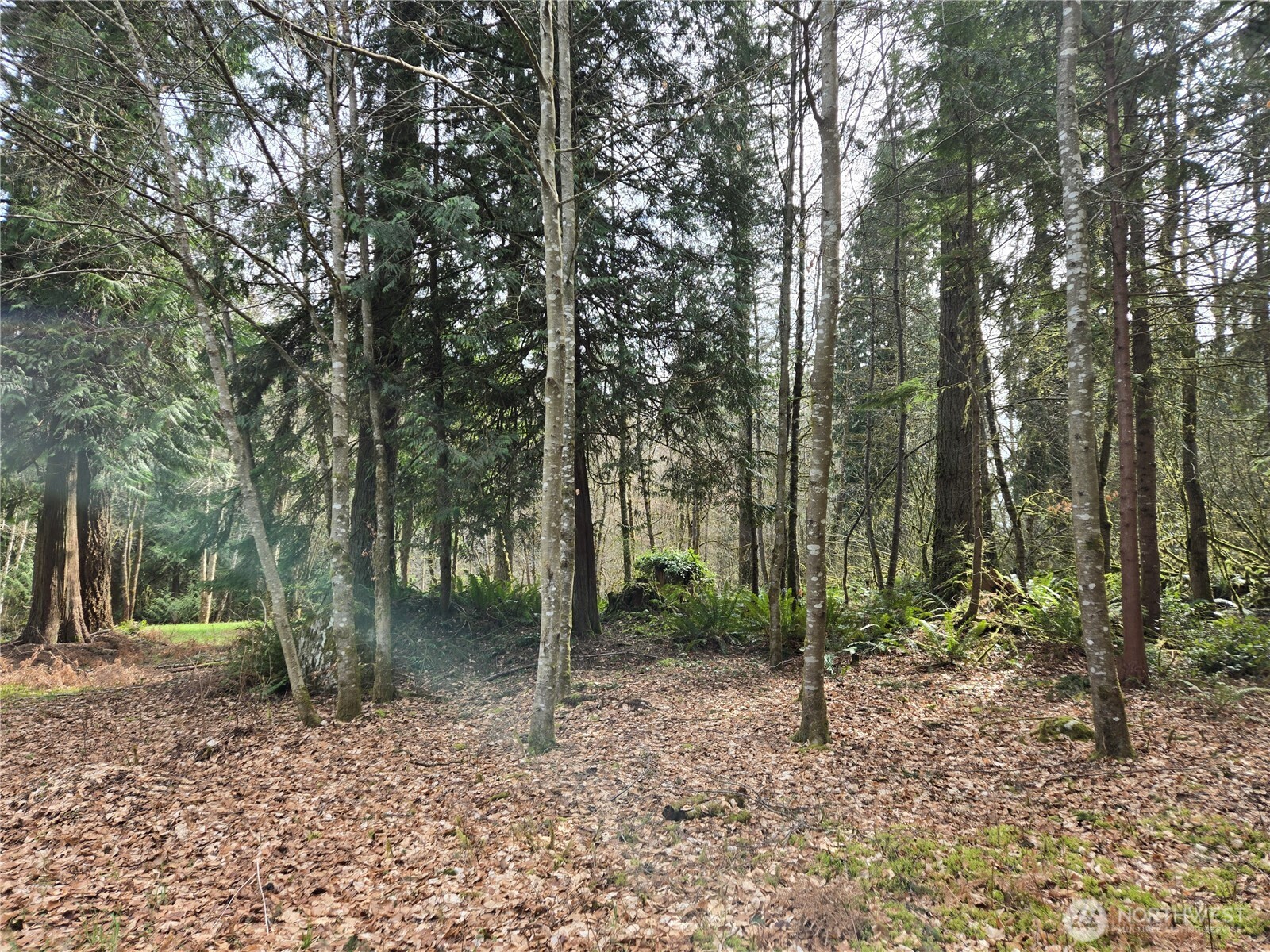 197 xx 242nd Avenue NE, Woodinville, WA 98077