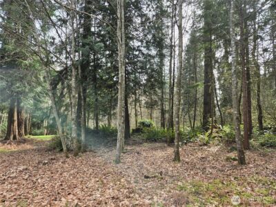 197 xx 242nd Avenue NE, Woodinville, WA 98077 - Photo 25