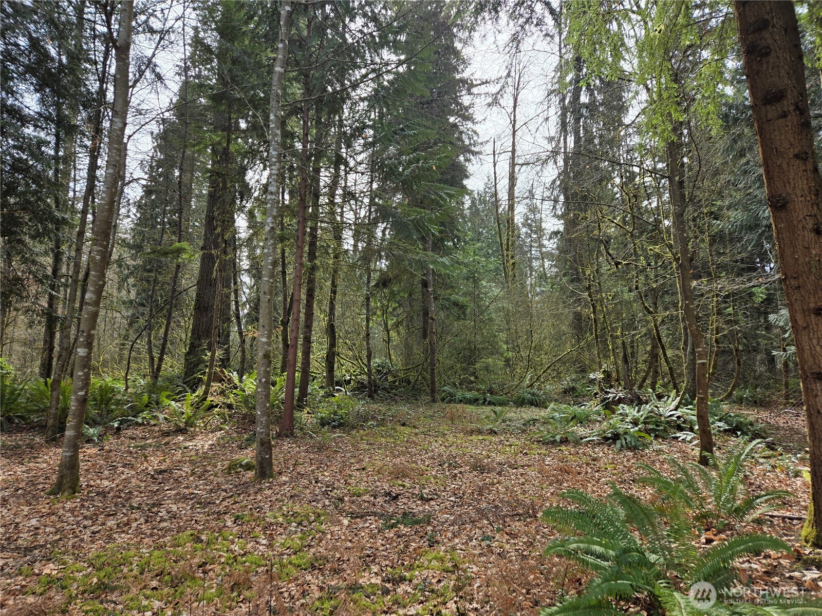 197 xx 242nd Avenue NE, Woodinville, WA 98077