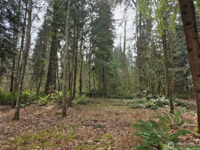 197 xx 242nd Avenue NE, Woodinville, WA 98077 - Photo 26