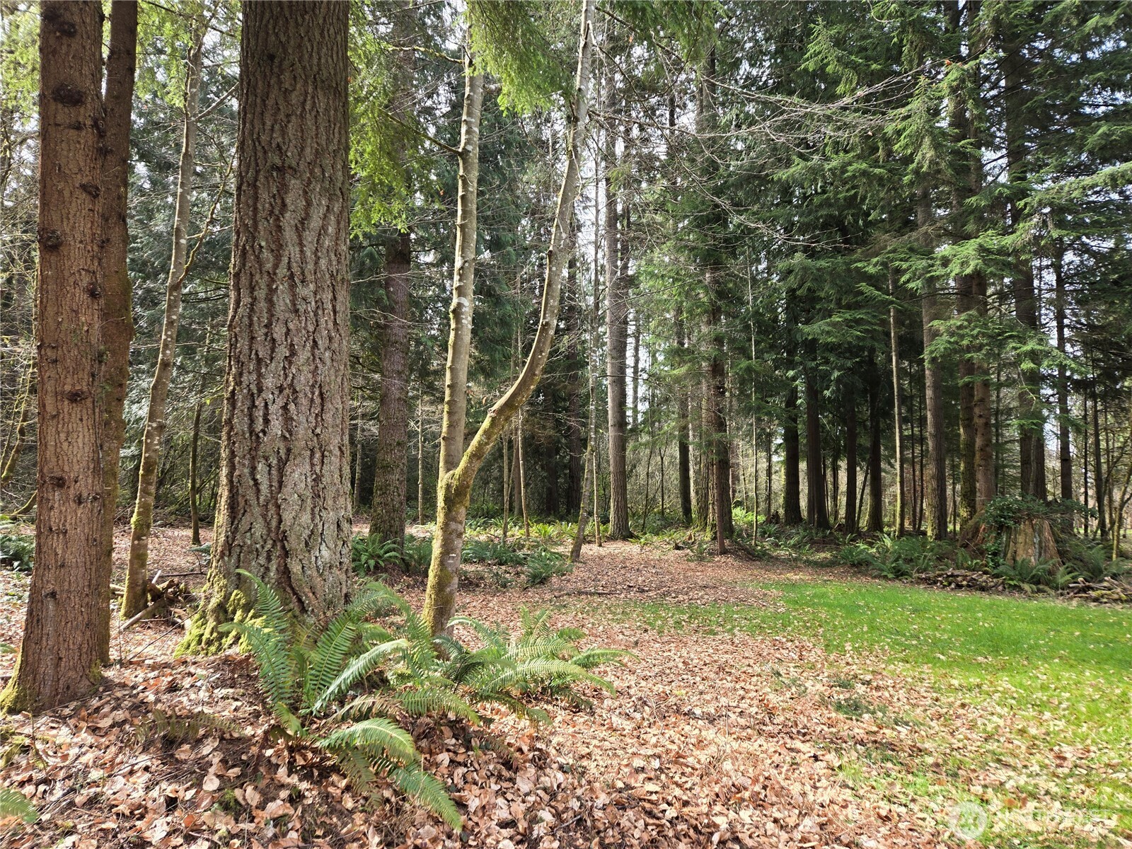 197 xx 242nd Avenue NE, Woodinville, WA 98077