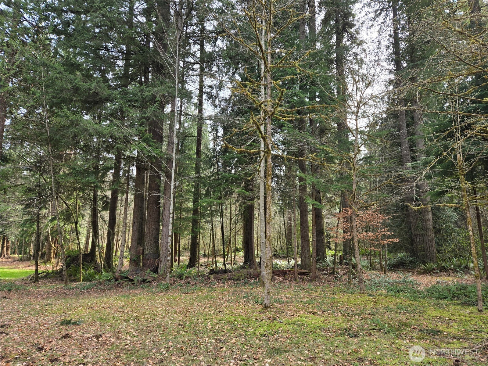 197 xx 242nd Avenue NE, Woodinville, WA 98077