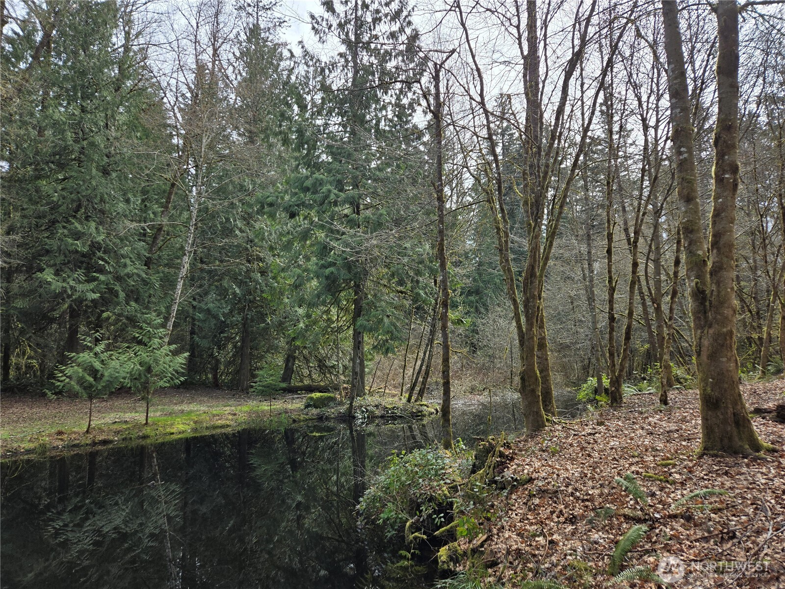 197 xx 242nd Avenue NE, Woodinville, WA 98077