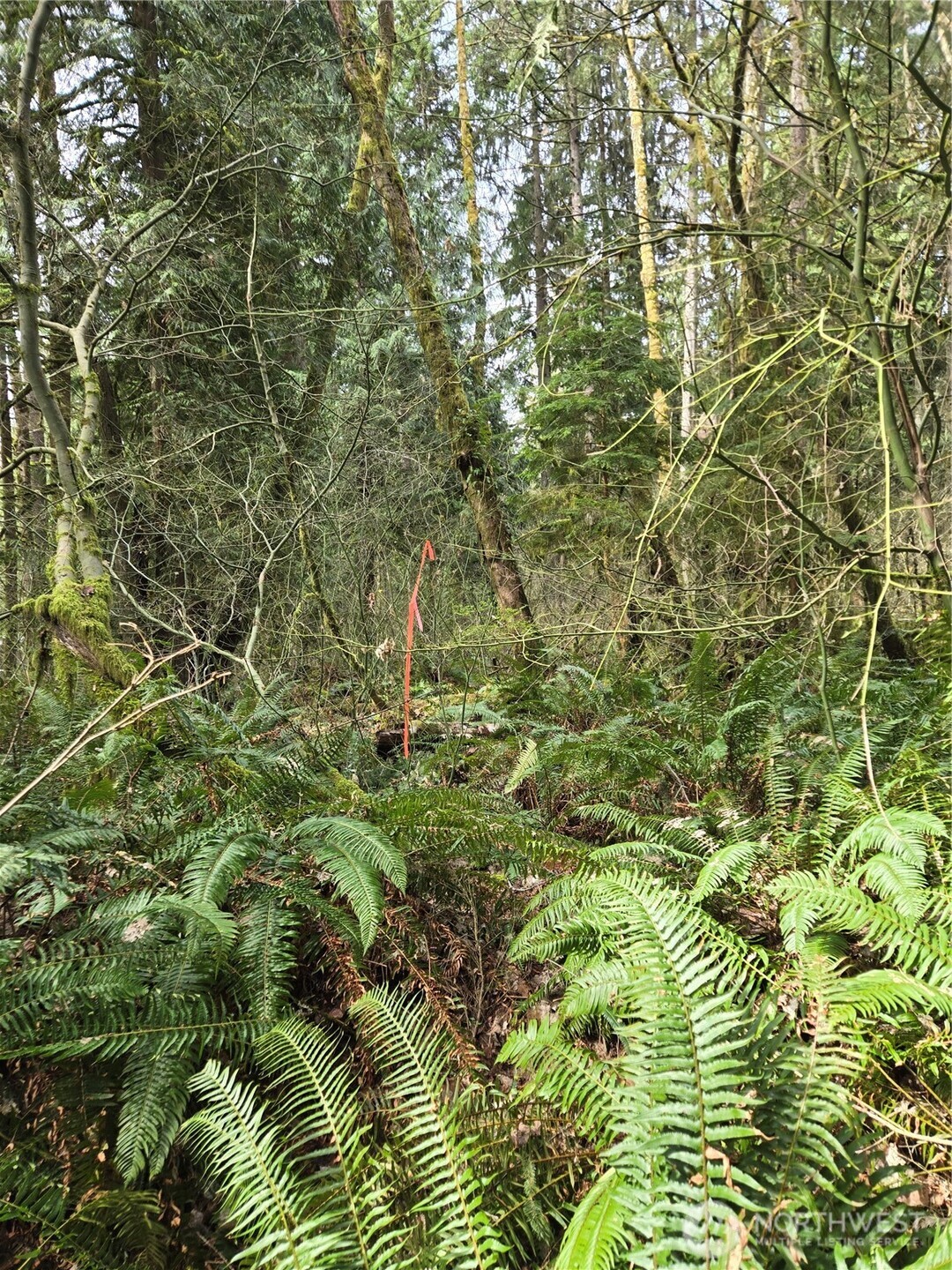 197 xx 242nd Avenue NE, Woodinville, WA 98077