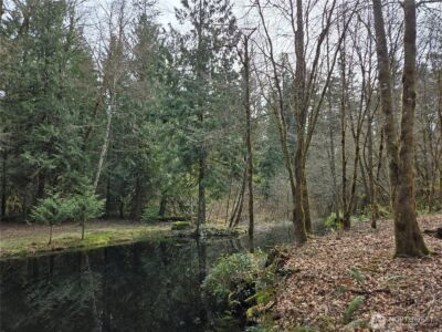 197 xx 242nd Avenue NE, Woodinville, WA 98077 - Photo 4