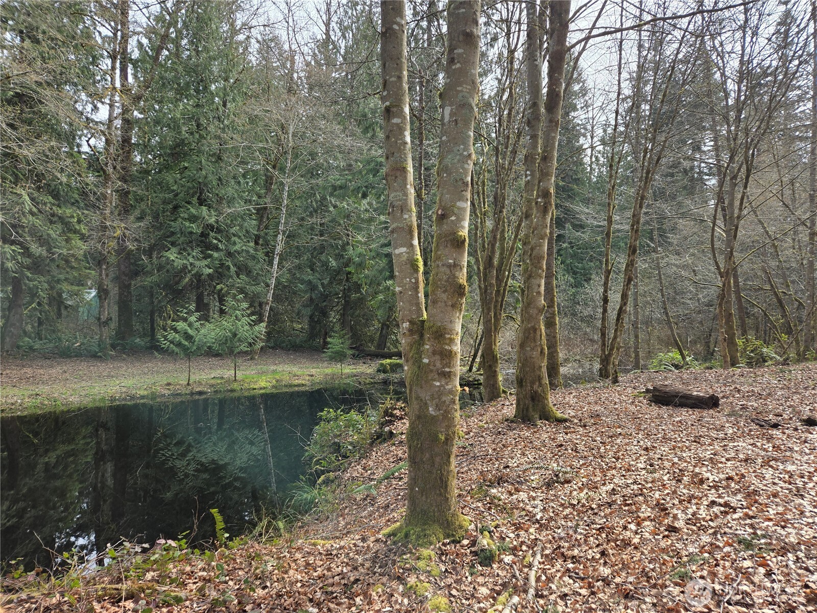 197 xx 242nd Avenue NE, Woodinville, WA 98077