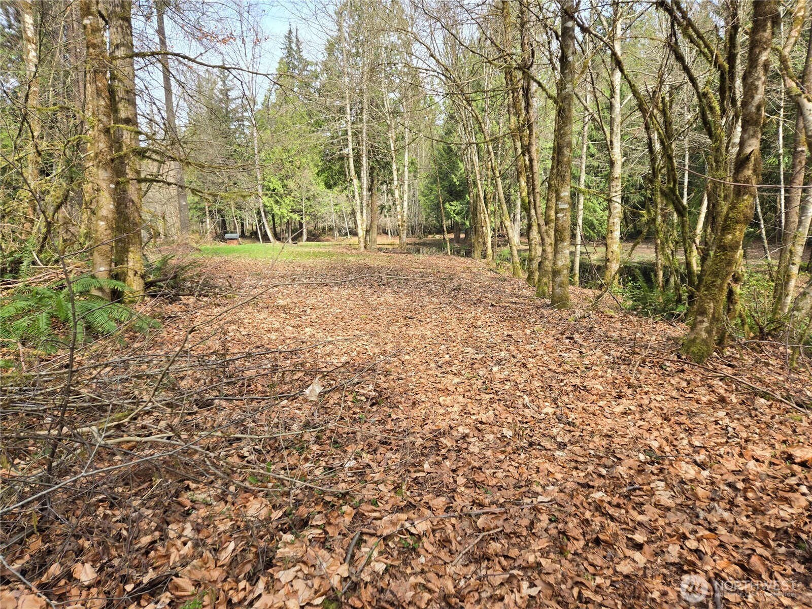 197 xx 242nd Avenue NE, Woodinville, WA 98077