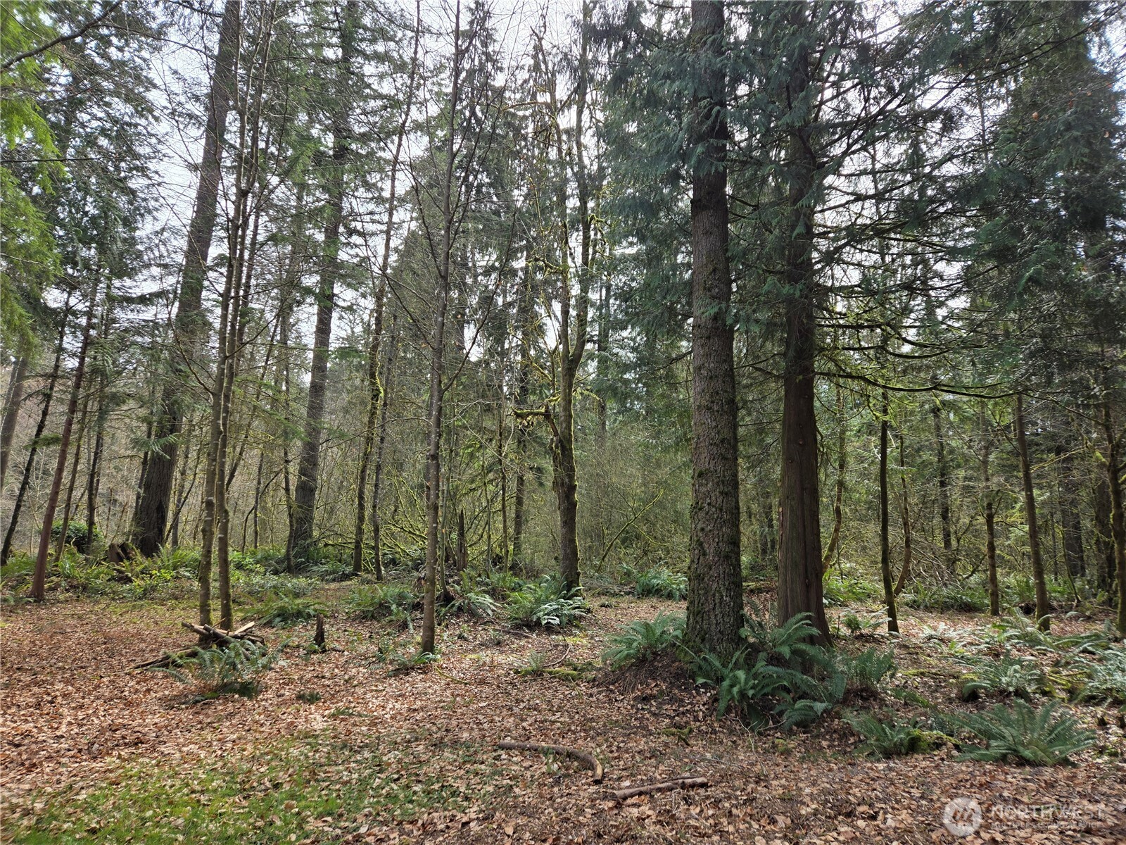 197 xx 242nd Avenue NE, Woodinville, WA 98077