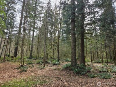 197 xx 242nd Avenue NE, Woodinville, WA 98077 - Photo 7
