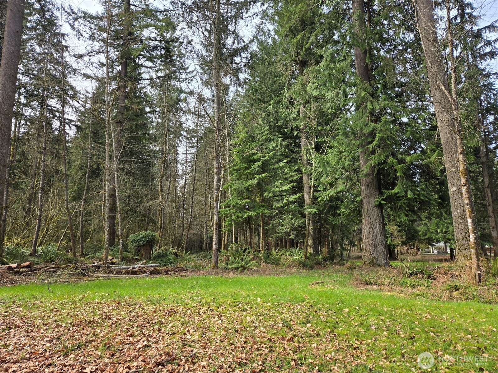 197 xx 242nd Avenue NE, Woodinville, WA 98077