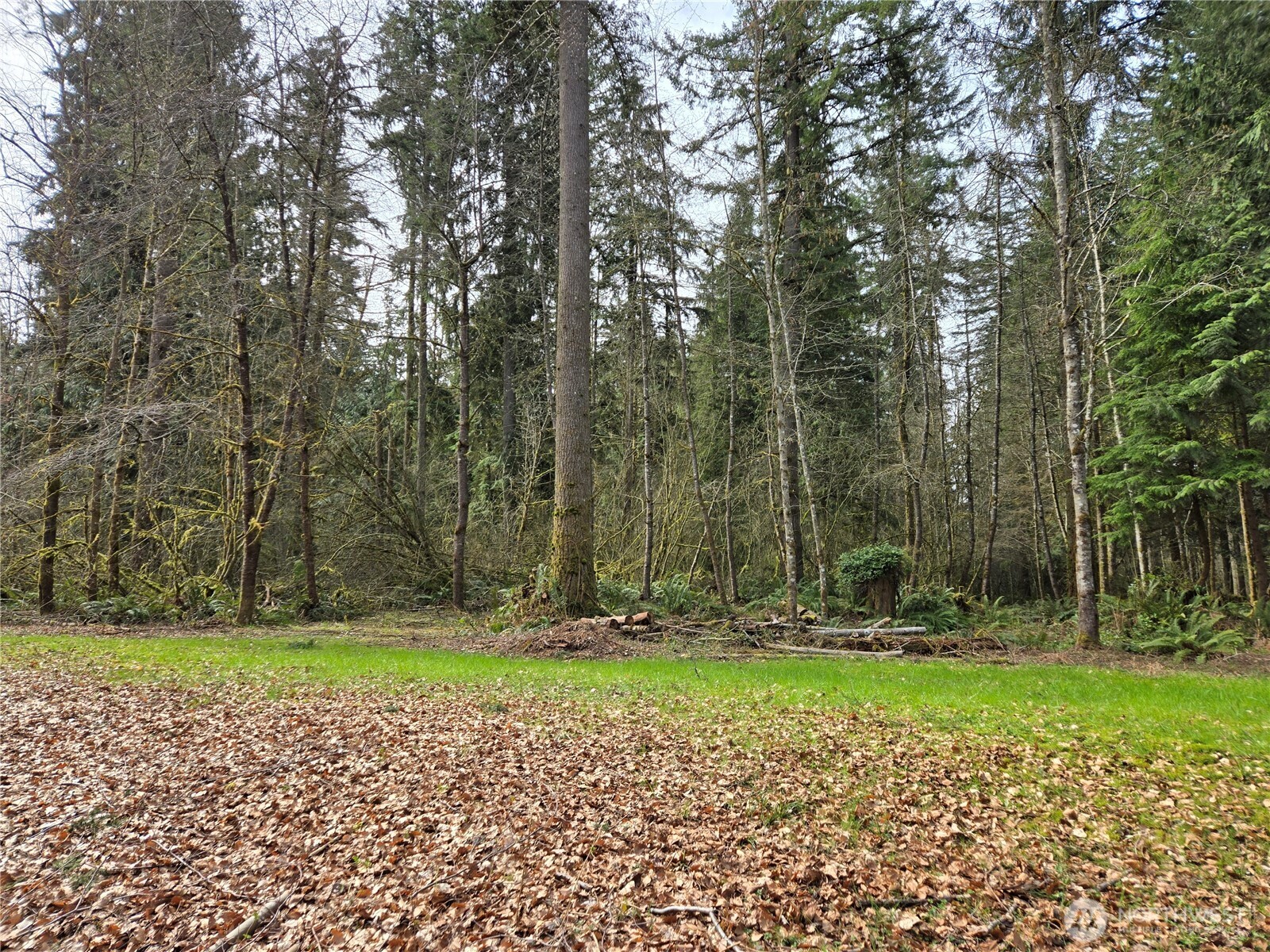 197 xx 242nd Avenue NE, Woodinville, WA 98077