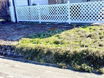 201 Union Avenue SE #193, Renton, WA 98059 - Photo 2