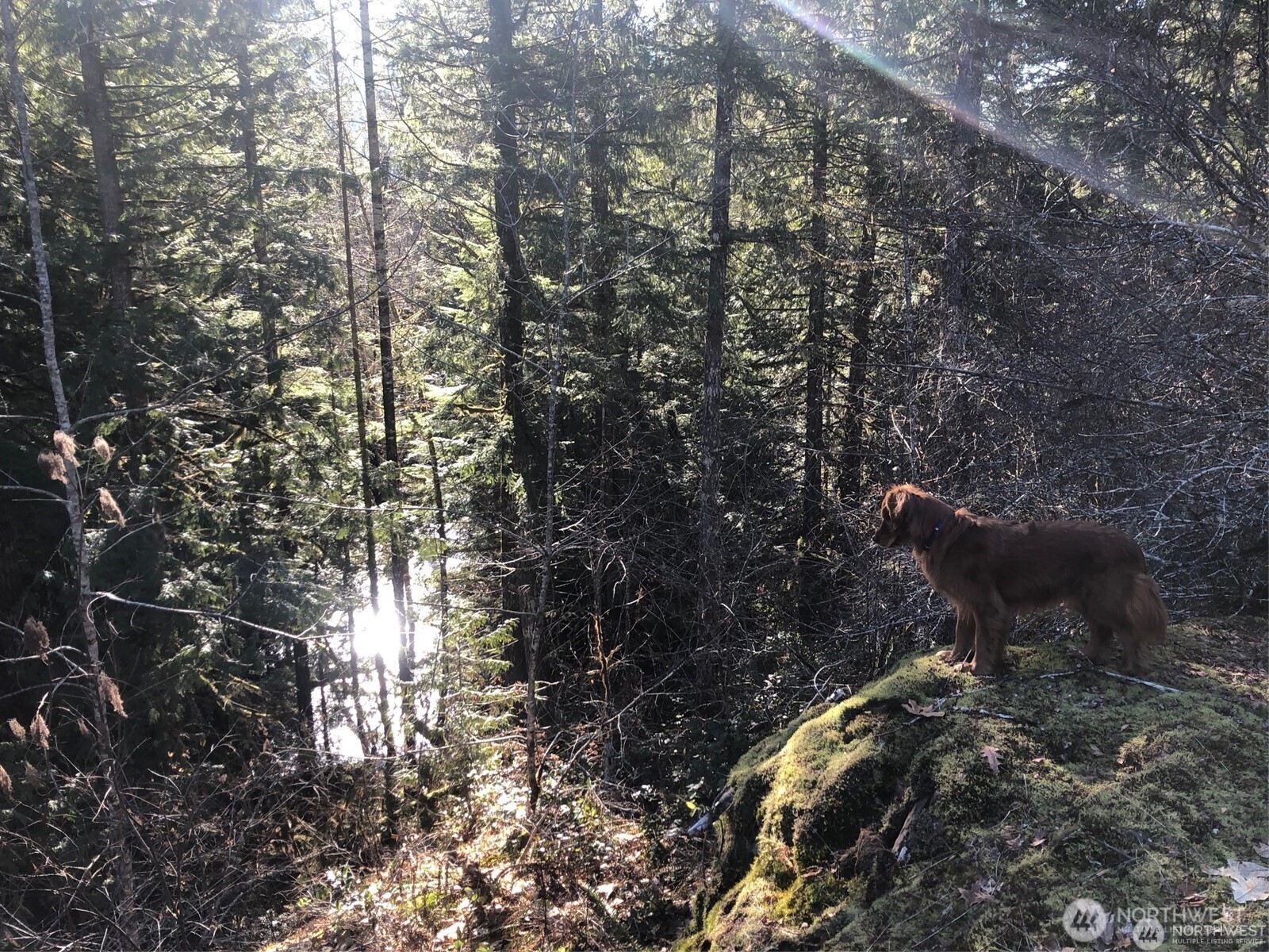 7530 Powerline Rd , Marblemount, WA 98267