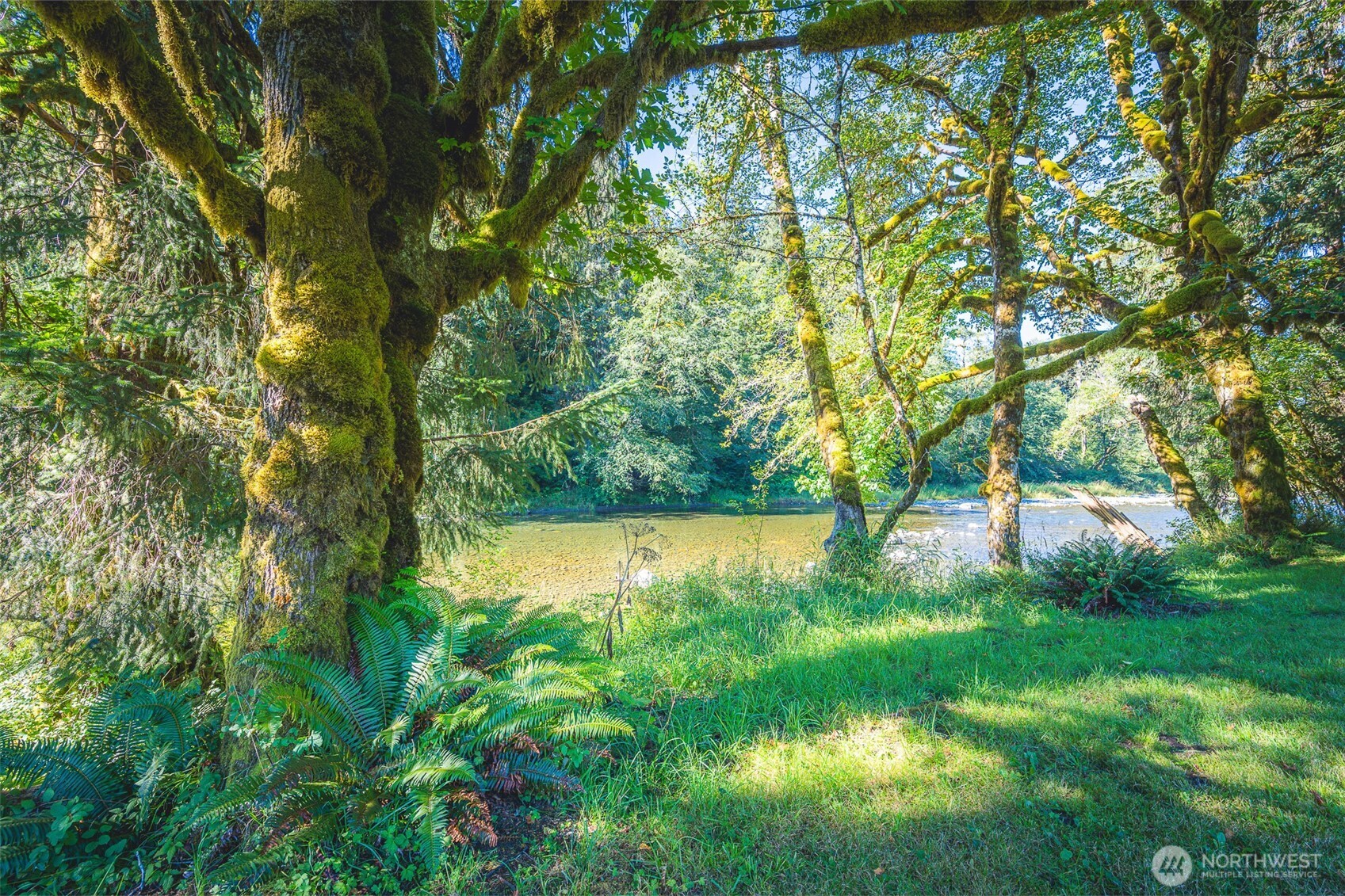 173 Pleasant Meadows , Beaver, WA 98305