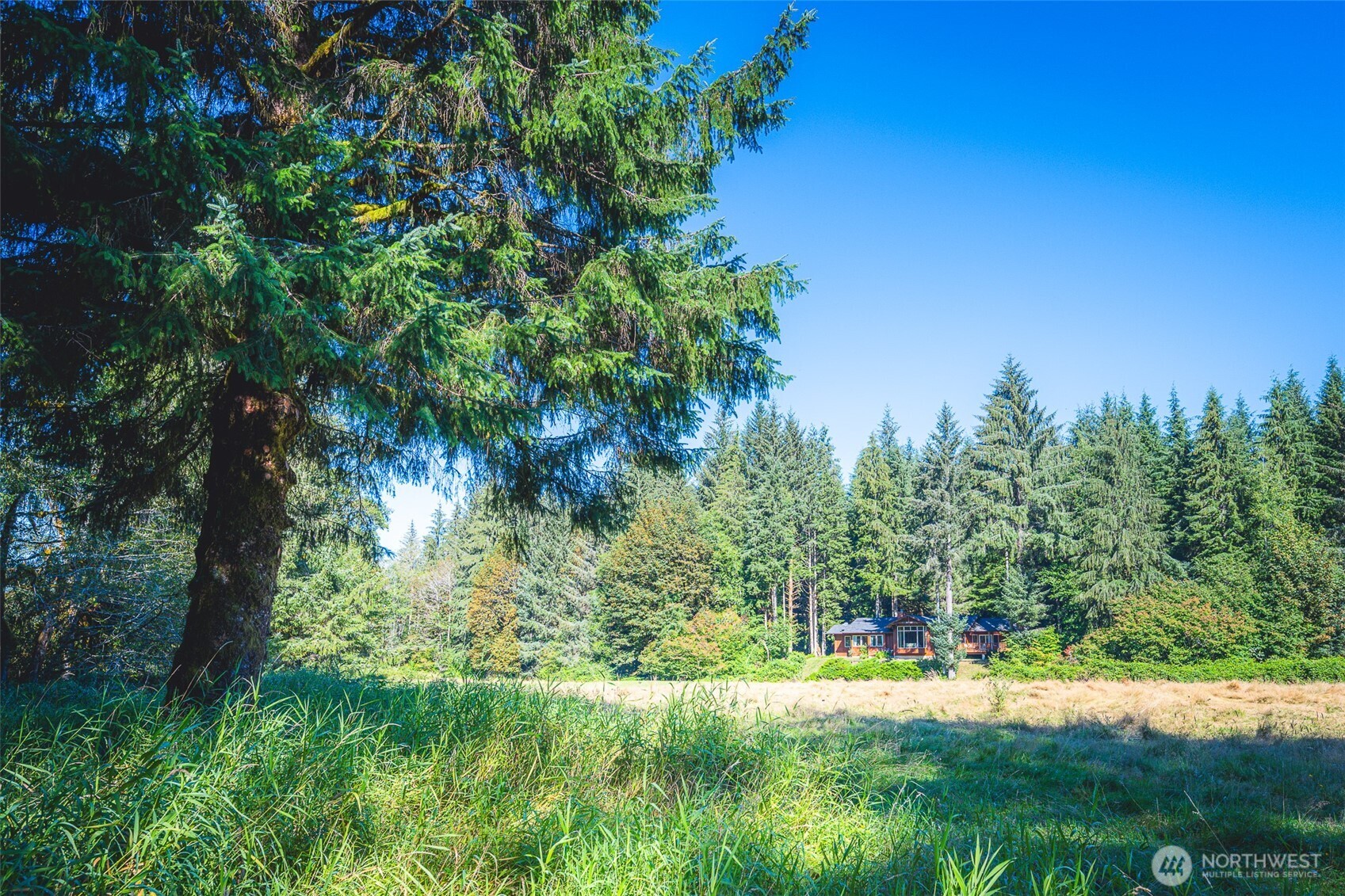 173 Pleasant Meadows , Beaver, WA 98305