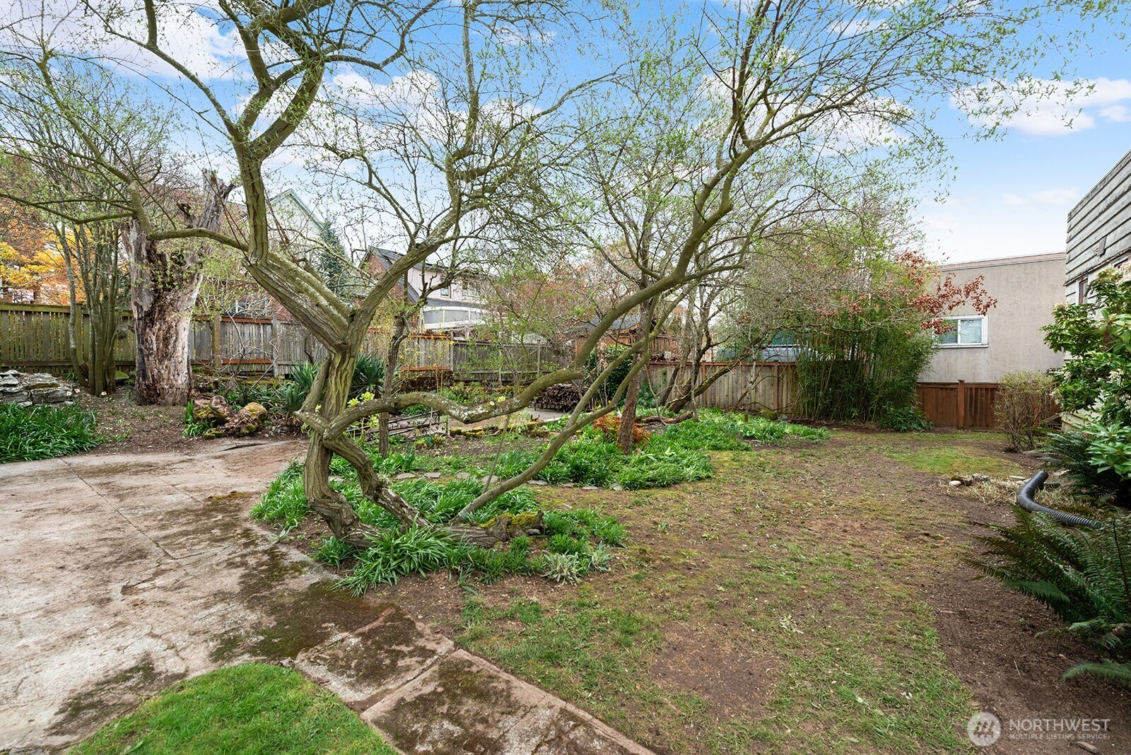 1142 N 77th Street , Seattle, WA 98103-4808