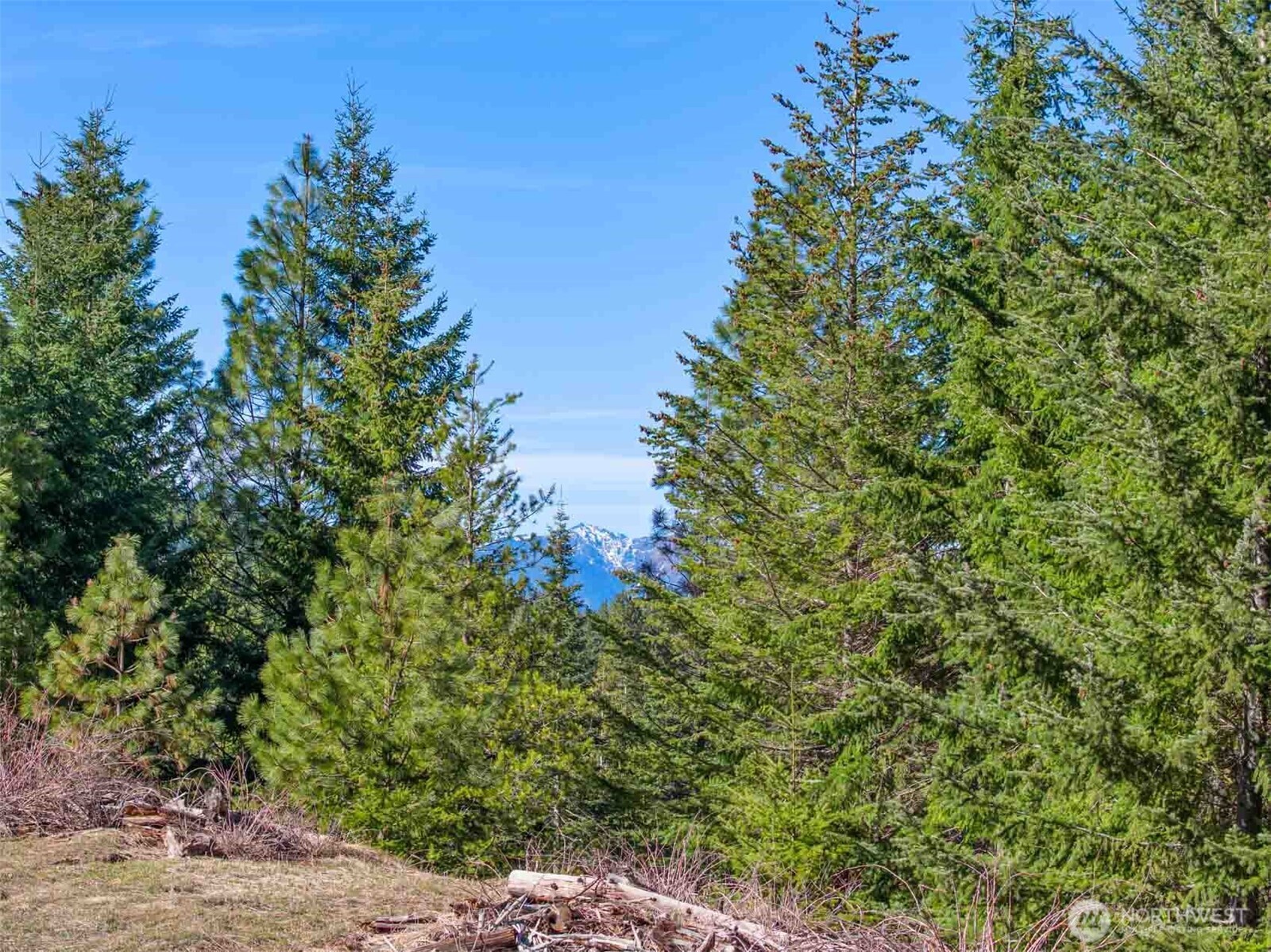 70 Liberty Bell Lane , Cle Elum, WA 98922