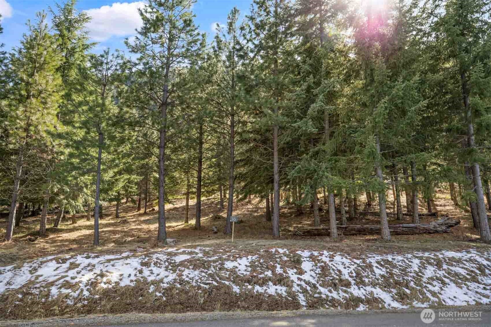 70 Liberty Bell Lane , Cle Elum, WA 98922