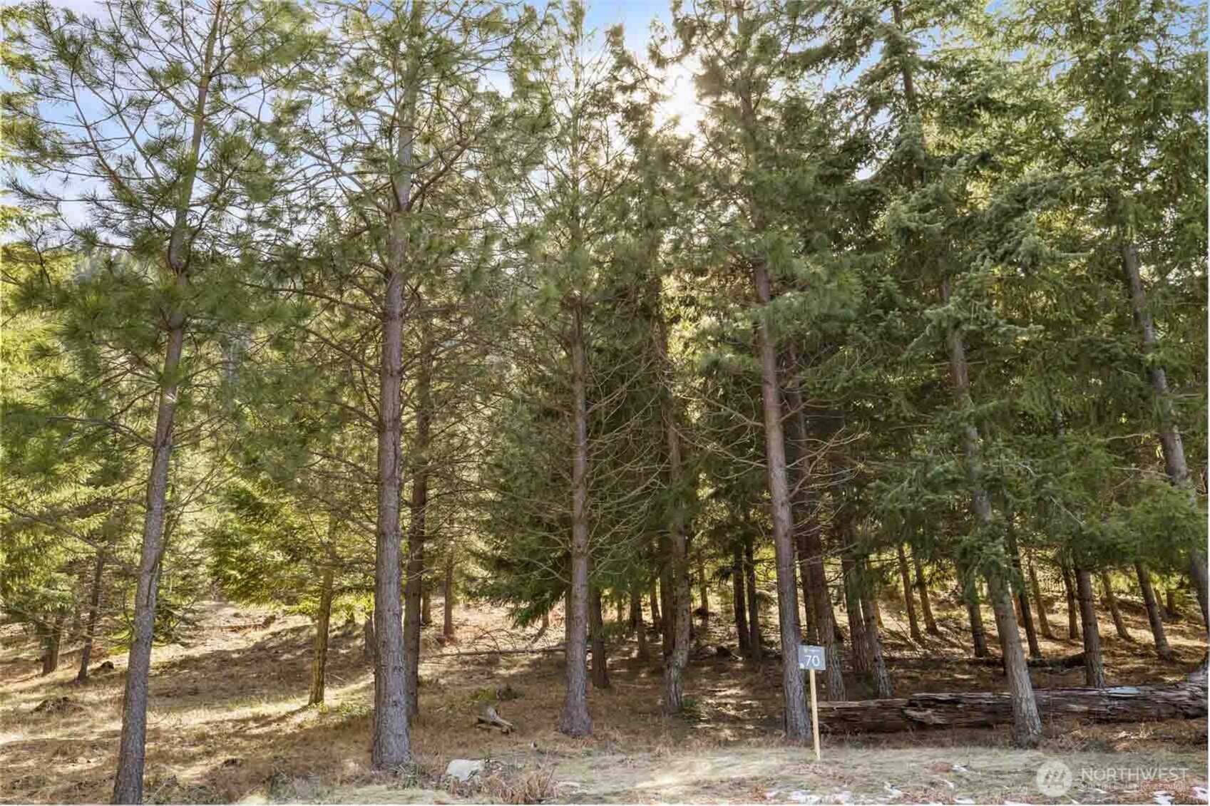 70 Liberty Bell Lane , Cle Elum, WA 98922