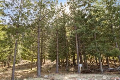 70 Liberty Bell Lane , Cle Elum, WA 98922 - Photo 7