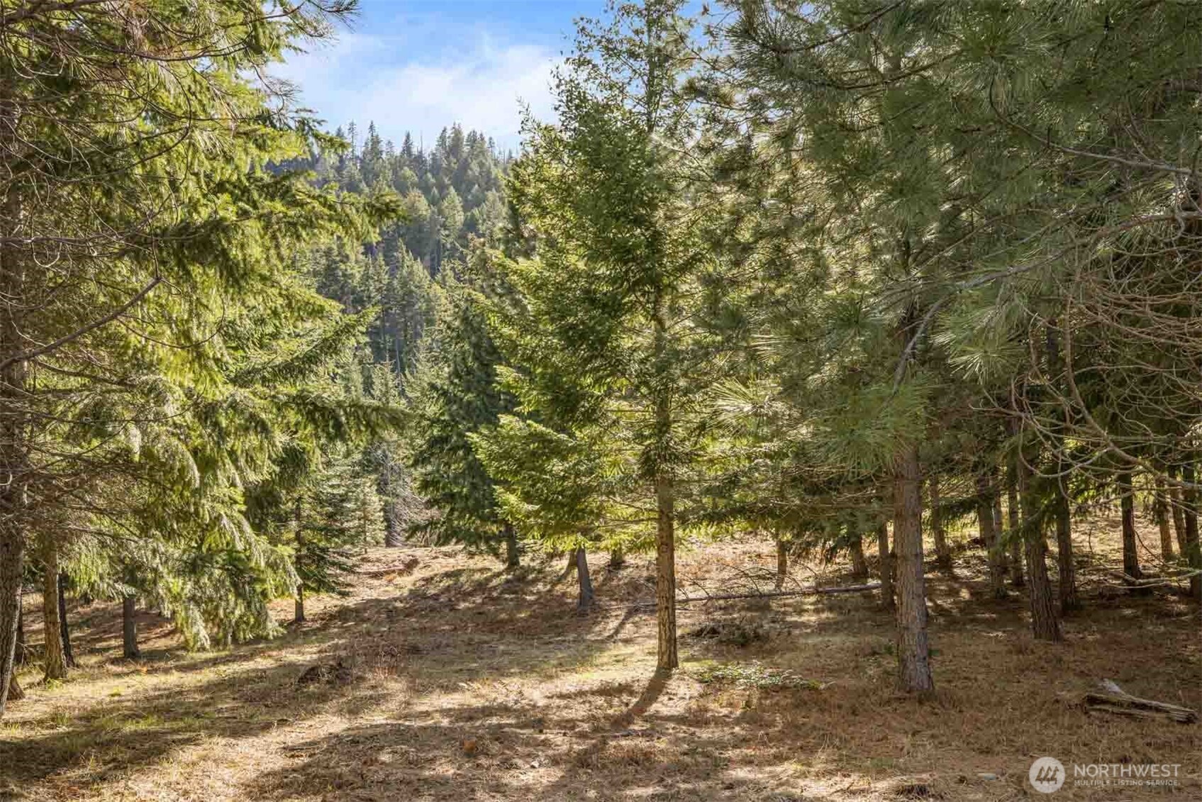 70 Liberty Bell Lane , Cle Elum, WA 98922