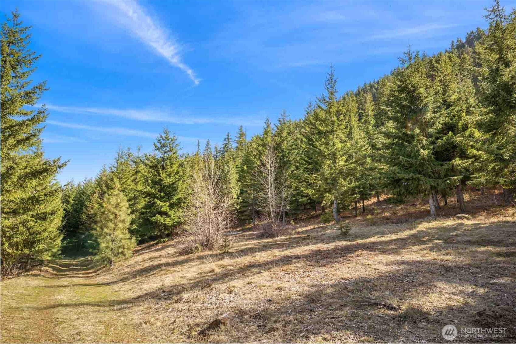 70 Liberty Bell Lane , Cle Elum, WA 98922