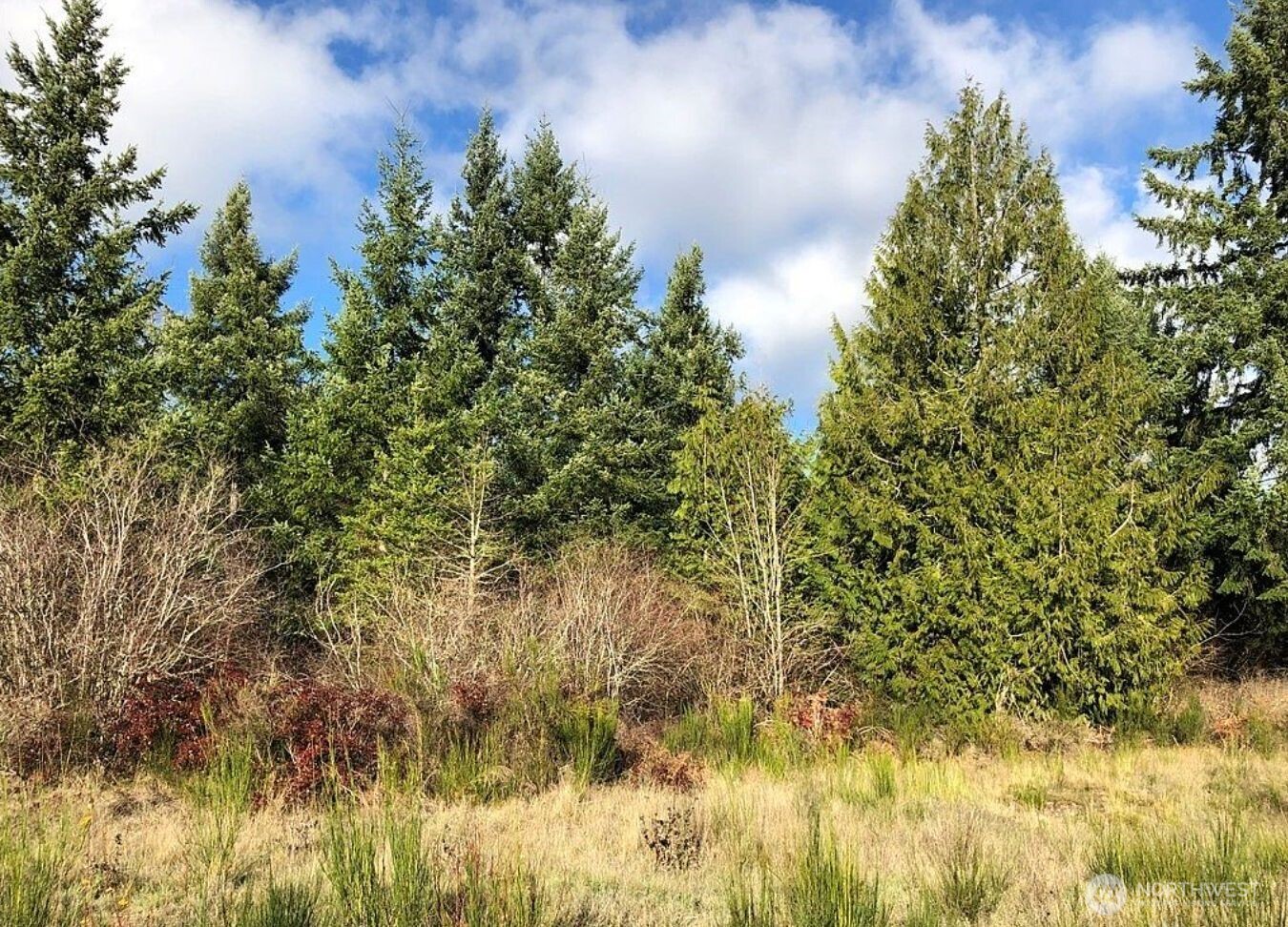 14623 Lindsay Loop Se , Yelm, WA 98597