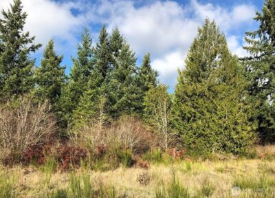 14623 Lindsay Loop Se , Yelm, WA 98597 - Photo 1