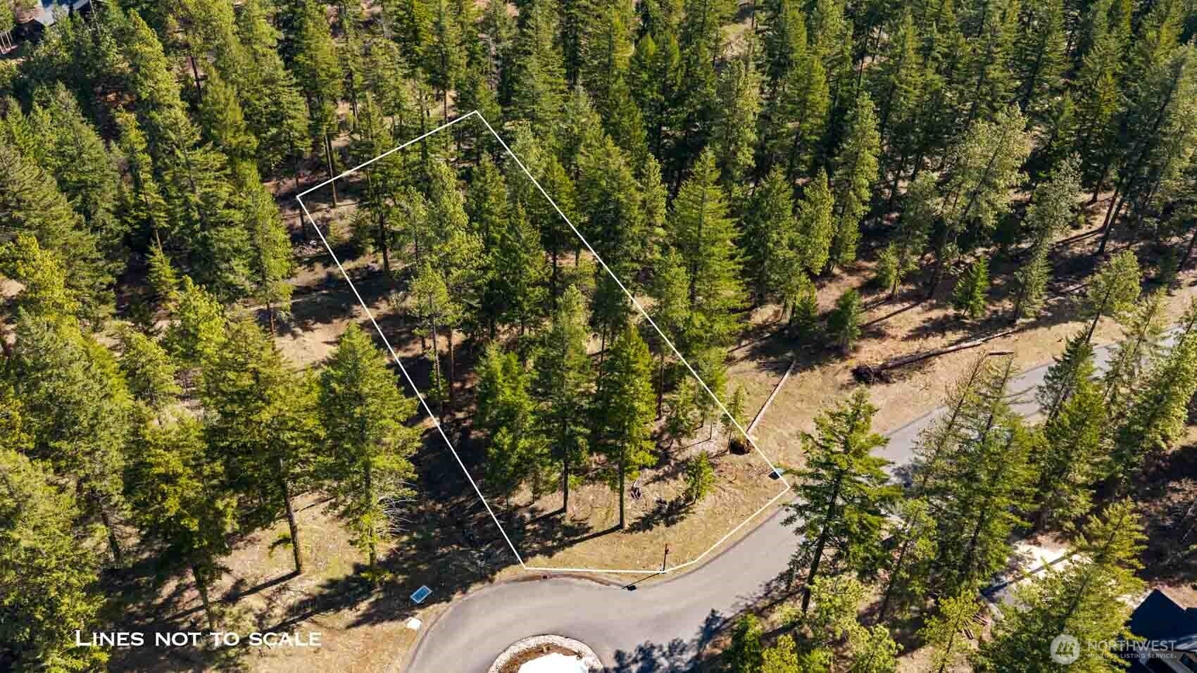 60 Wanawish Loop , Cle Elum, WA 98922