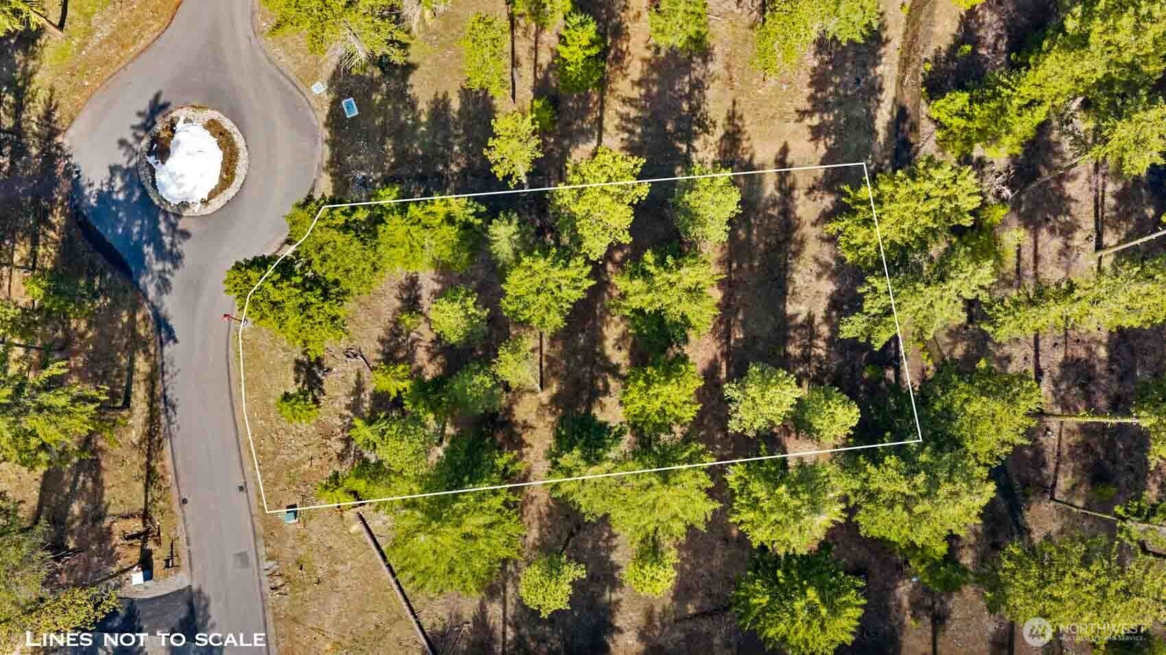 60 Wanawish Loop , Cle Elum, WA 98922