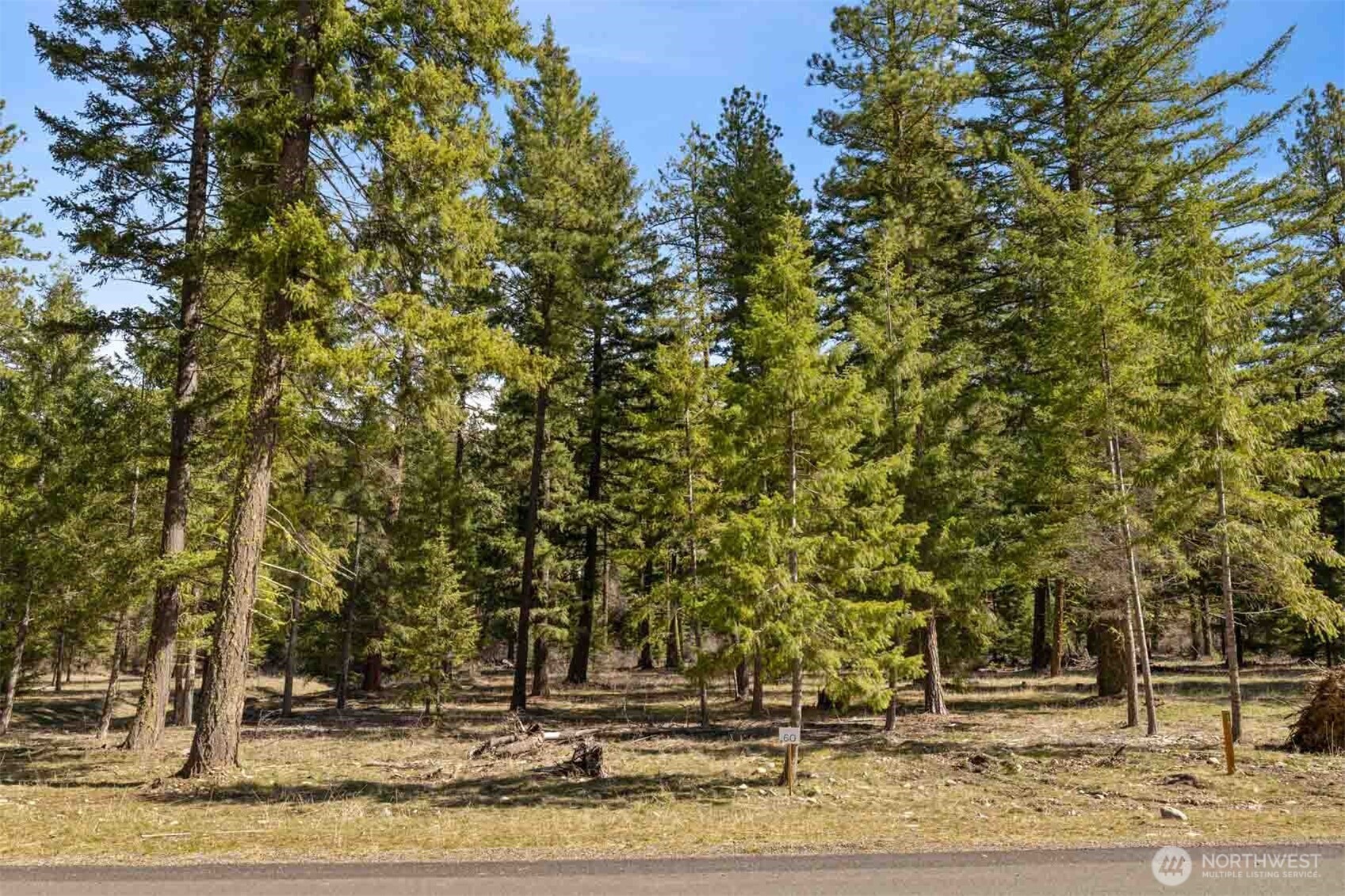 60 Wanawish Loop , Cle Elum, WA 98922