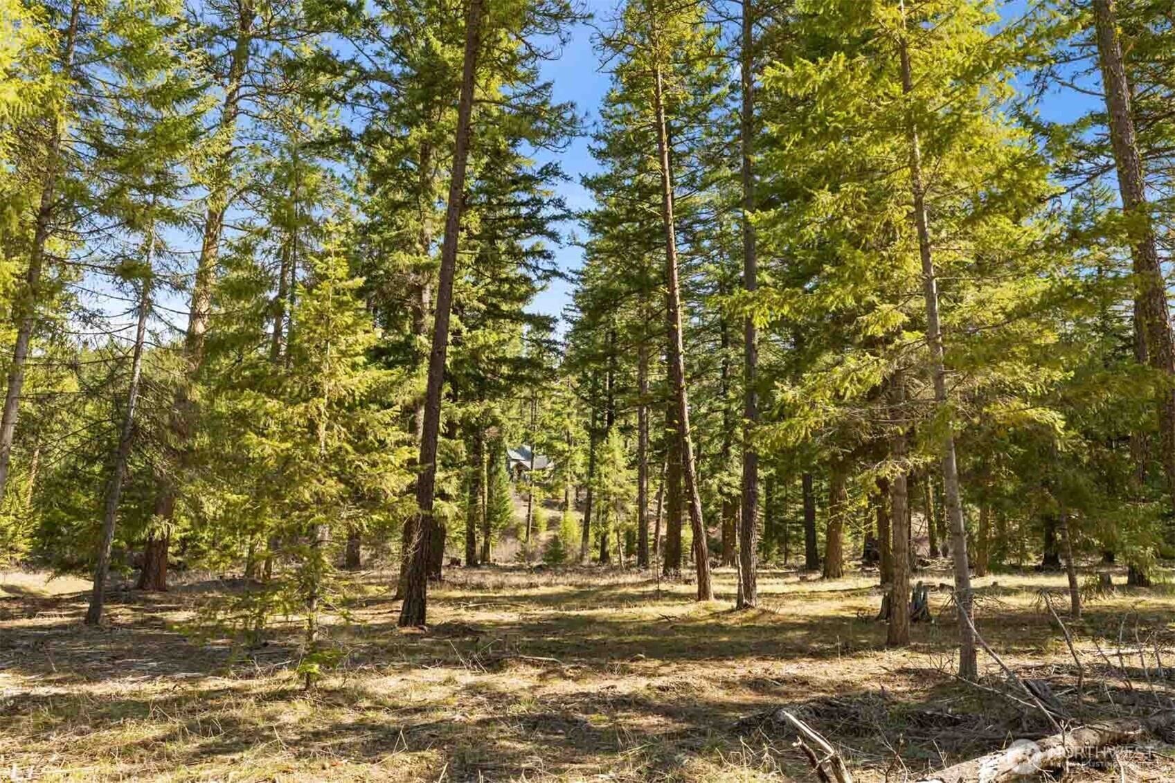 60 Wanawish Loop , Cle Elum, WA 98922