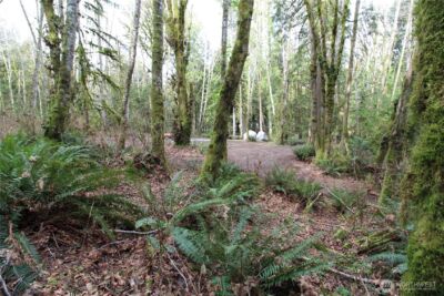 6509 NE Sid Price Road , Poulsbo, WA 98370 - Photo 11