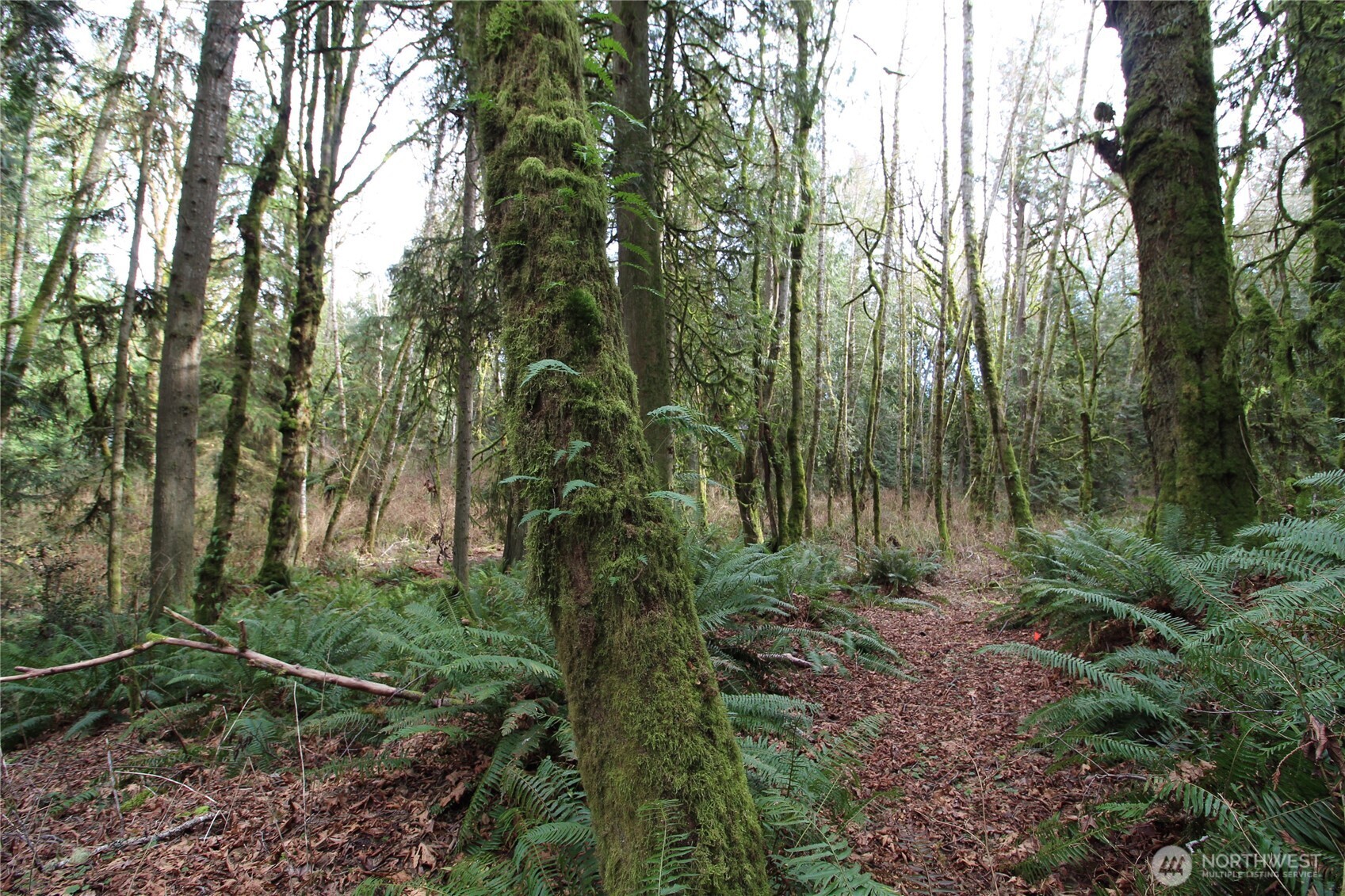 6509 NE Sid Price Road , Poulsbo, WA 98370