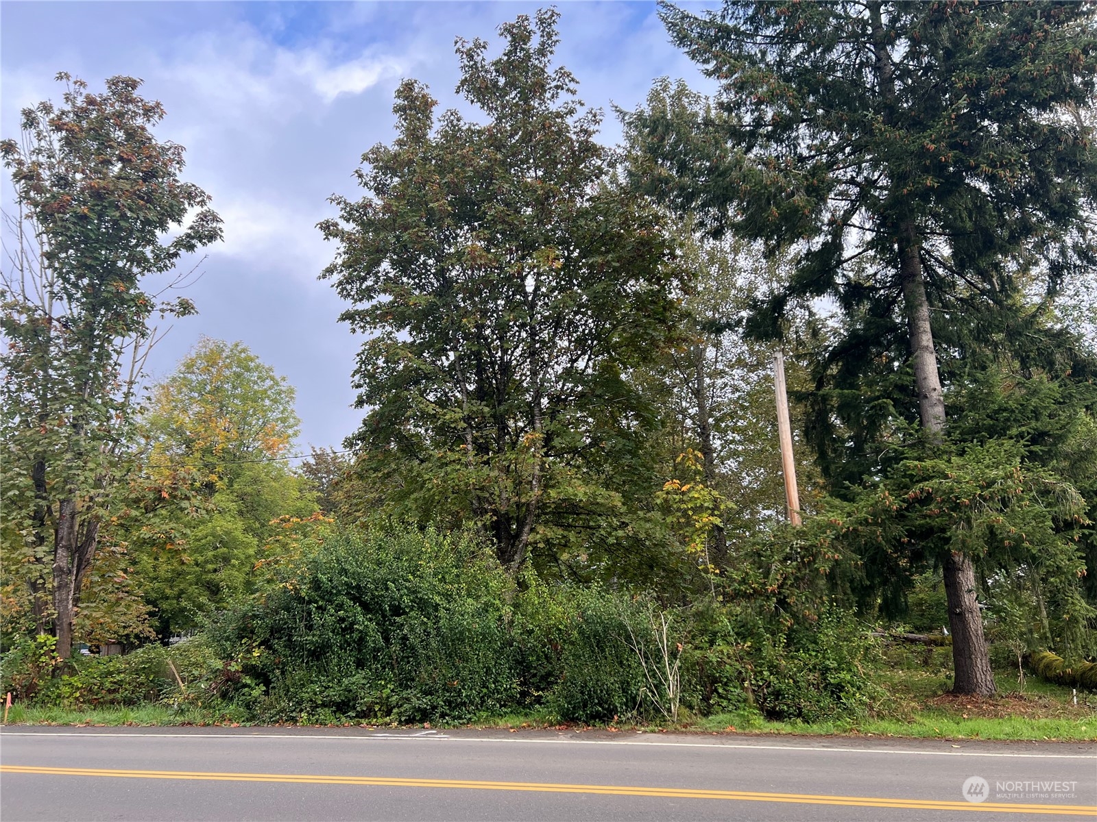 202 Park Street , Shelton, WA 98584