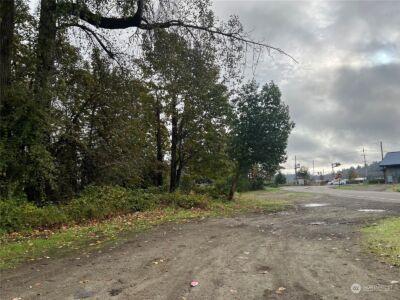 102 Park Street , Shelton, WA 98584