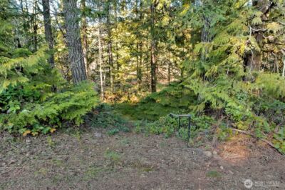 50 N Standstill Drive S, Hoodsport, WA 98548 - Photo 31