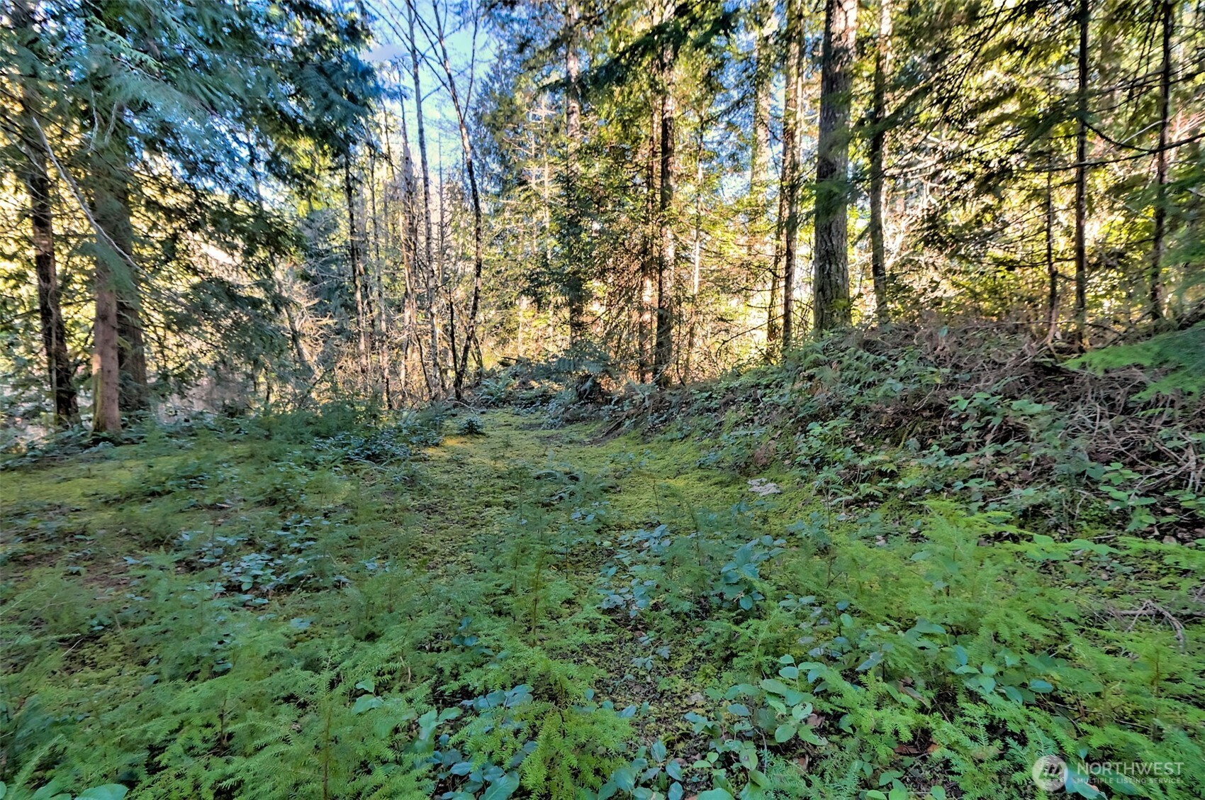 50 N Standstill Drive S, Hoodsport, WA 98548