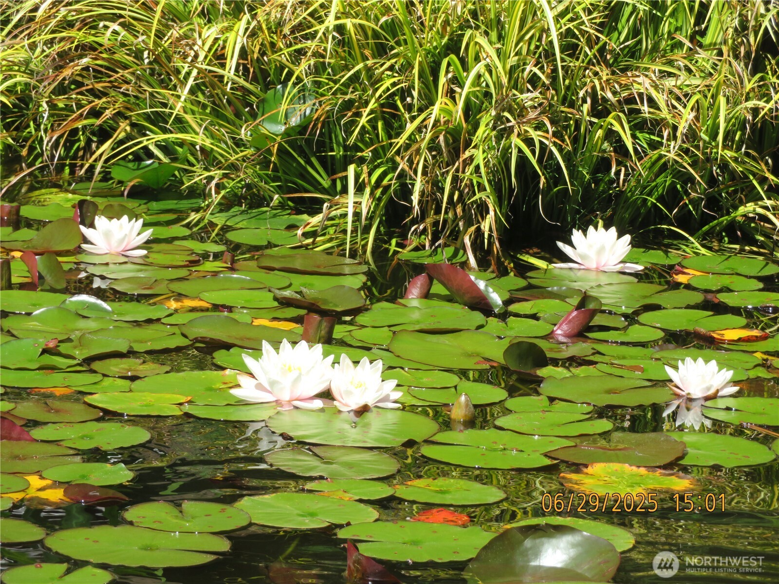 50 N Standstill Drive S, Hoodsport, WA 98548