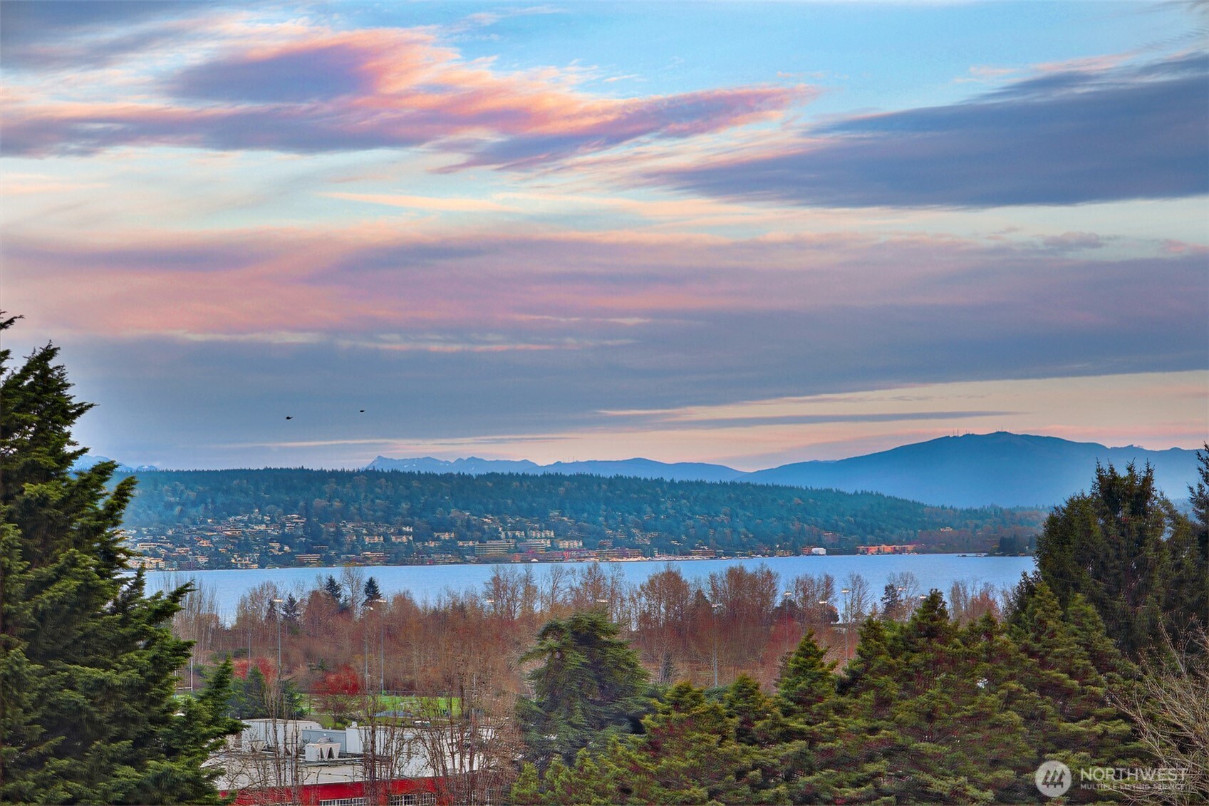 7710 57th Avenue NE, Seattle, WA 98115